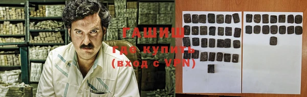 индика Гусев