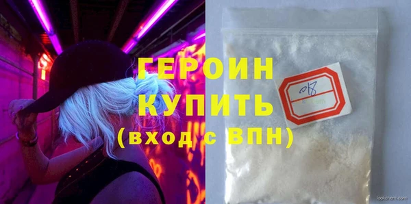 индика Гусев