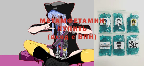индика Гусев