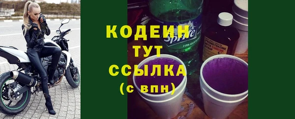 индика Гусев