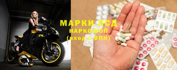 индика Гусев