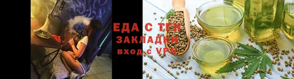 индика Гусев