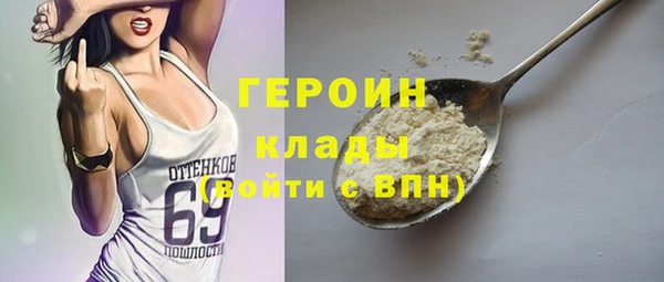 индика Гусев