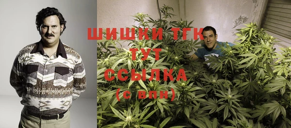 таблы Гусь-Хрустальный