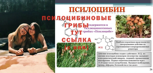 дживик Гусиноозёрск