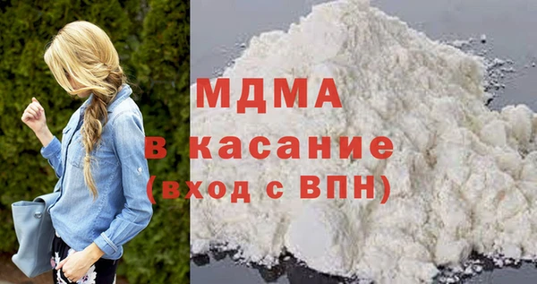 индика Гусев