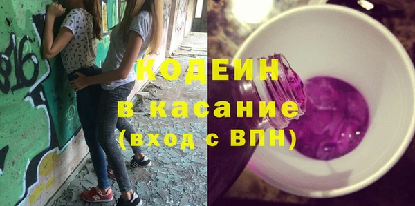 индика Гусев