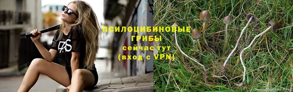 таблы Гусь-Хрустальный
