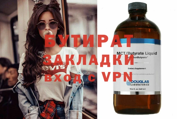 индика Гусев