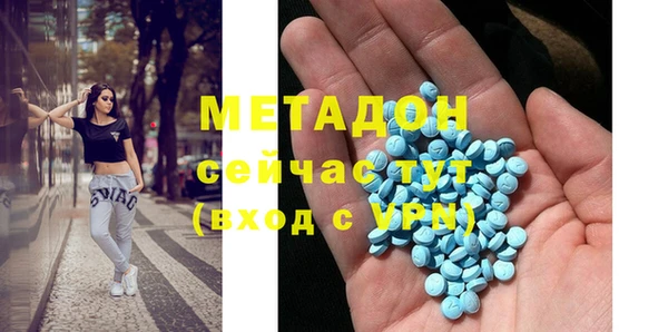 индика Гусев
