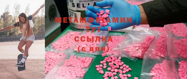индика Гусев