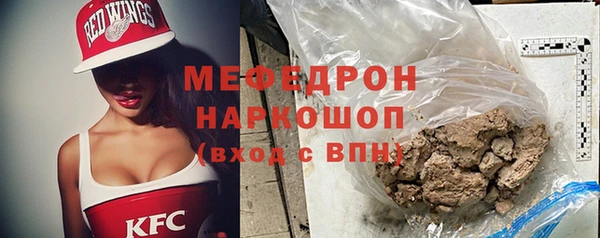индика Гусев