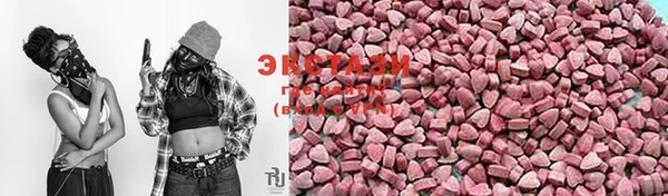 индика Гусев