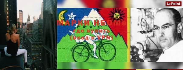 индика Гусев