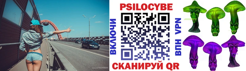 Псилоцибиновые грибы ЛСД  сайты даркнета наркотические препараты  Камышин 